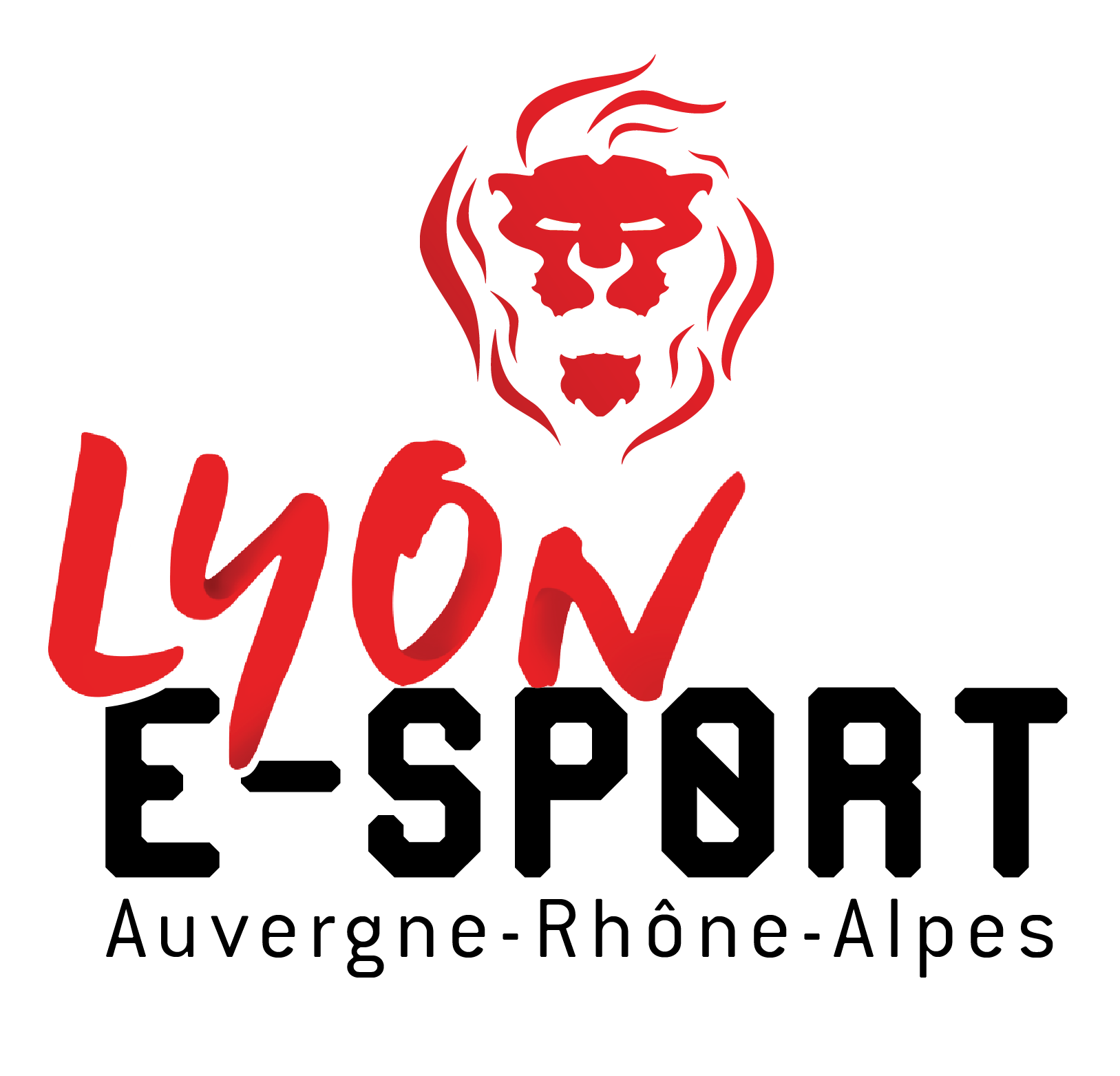 Logo et site Lyon e-Sport